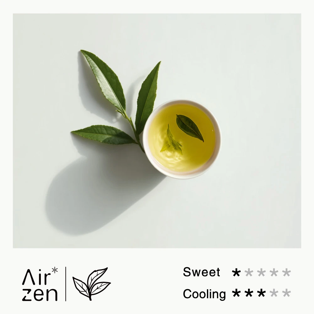 Airzen flavor concept: green tea with fresh tea leaves, showing sweet and cooling sensory ratings.